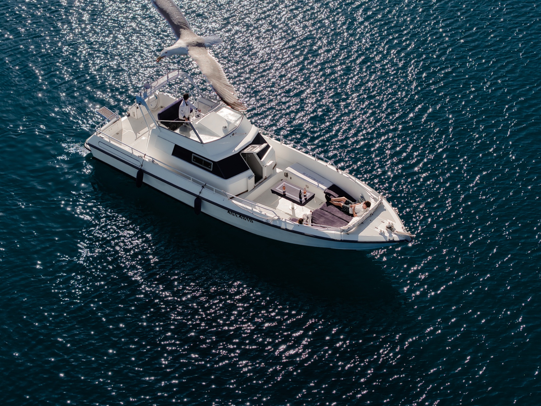ManuManu yacht with a seagull at golden hour off Imperia